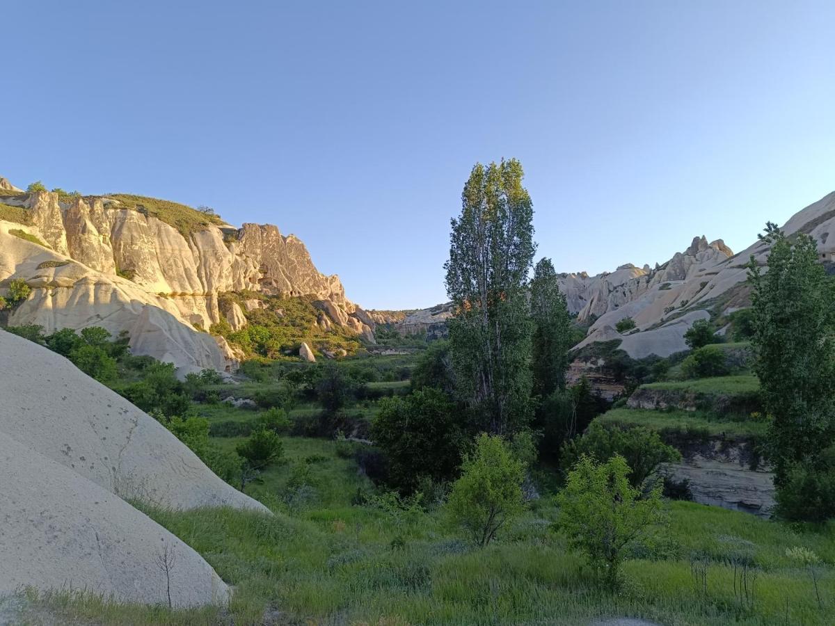 Sah Saray Cave Suites Halal Hotel Göreme Extérieur photo